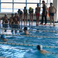 Zawody Pływackie – Kryta Pływalnia